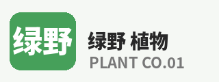 探花
