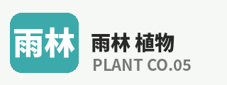 探花