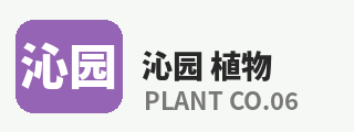 探花